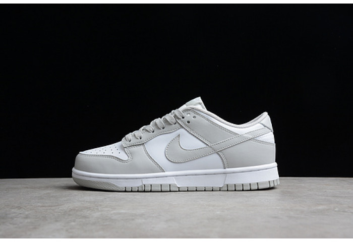 nike dunk low retro dd1391-103