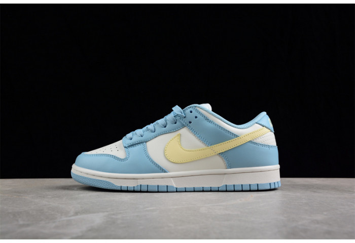 nike sb dunk low dd1503-123