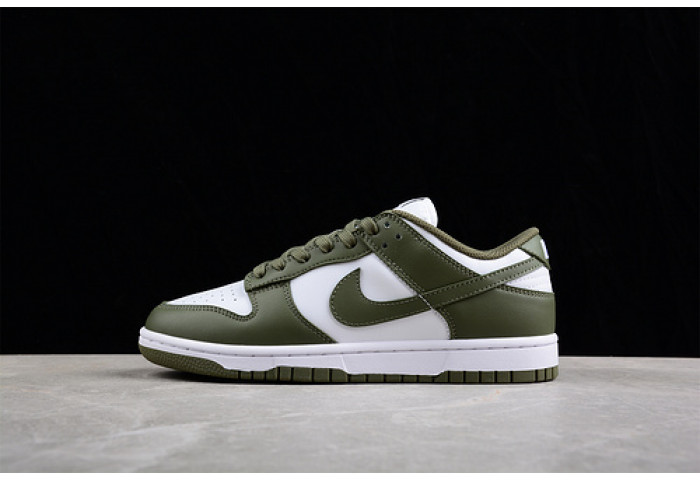 nike sb dunk low dd1503--120