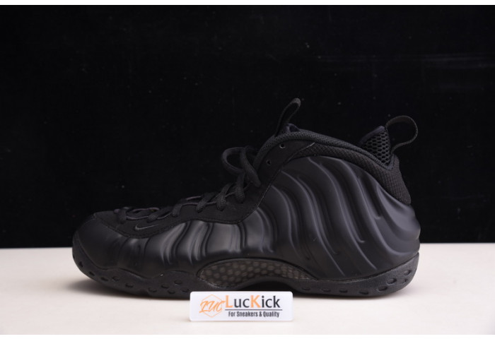 nike air foamposite one 314996-001