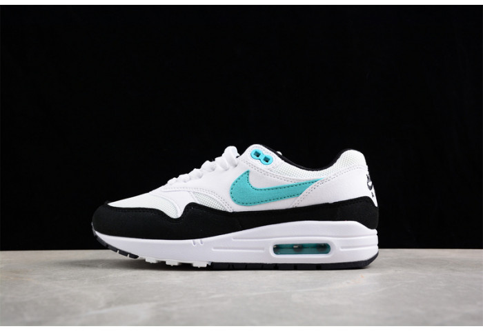 nike air max 1 dz3307-114