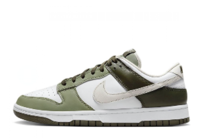 nike sb dunk nsd-001