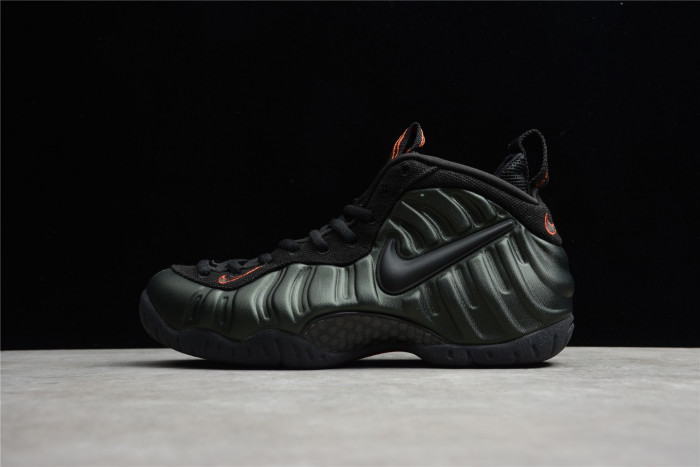 nike air foamposite pro sequoia 624041-304