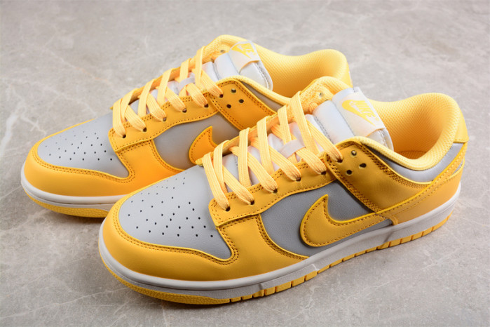 nike sb dunk low  dd1503-002