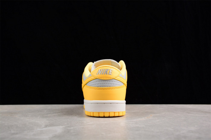 nike sb dunk low  dd1503-002