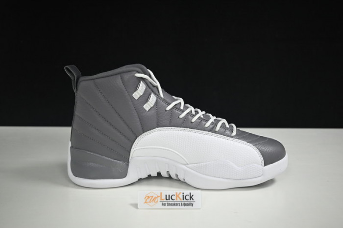 air jordan 12 stealth  ct8025-610