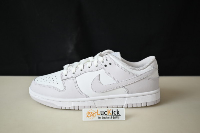 nike dunk low venice (w) - dd1503-116