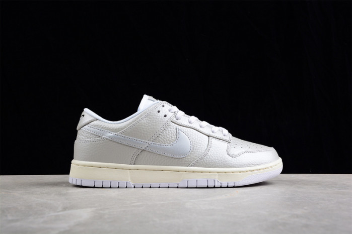 nike sb dunk low  dx3197-095