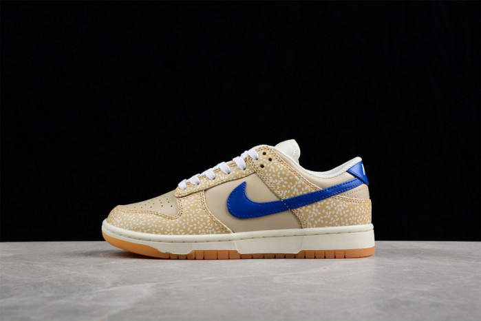 nike sb dunk low   dz4853-200