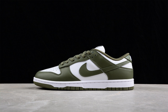 nike sb dunk low dd1503--120