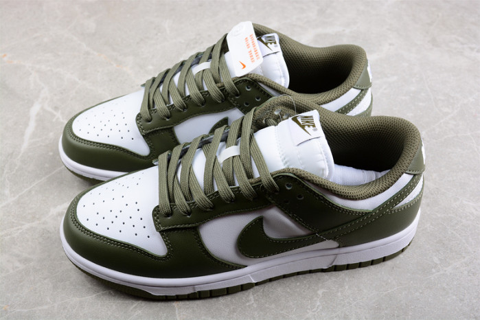 nike sb dunk low dd1503--120