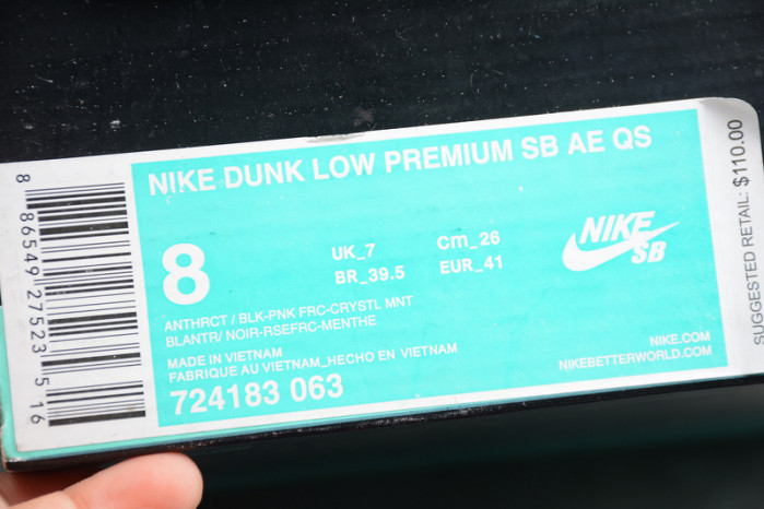 nike dunk low  313171-063