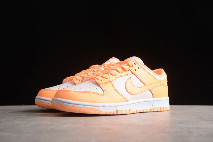 nike sb dunk low  dd1503-801