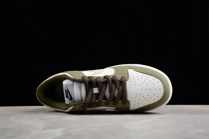 nike sb dunk low   tt3636-006