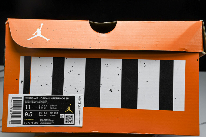 jordan 3 retro  fz7974-300