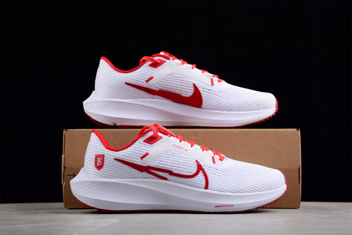 nike zoom  fj2844-100