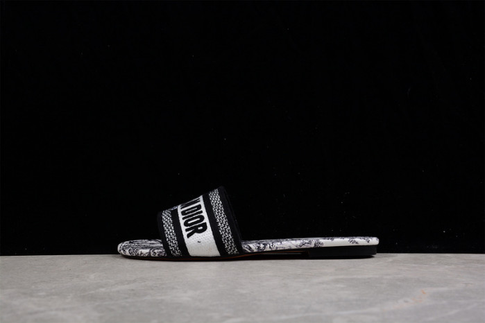 D*or  slides  ds-001