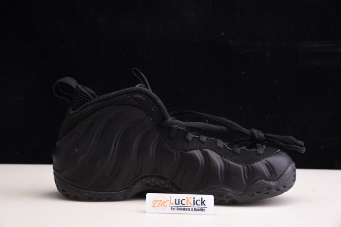 nike air foamposite one 314996-001