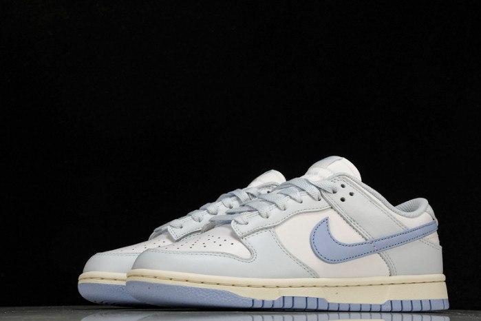 nike dunk low  dd1873-400