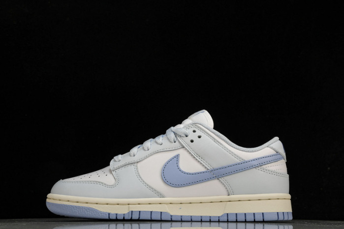 nike dunk low  dd1873-400
