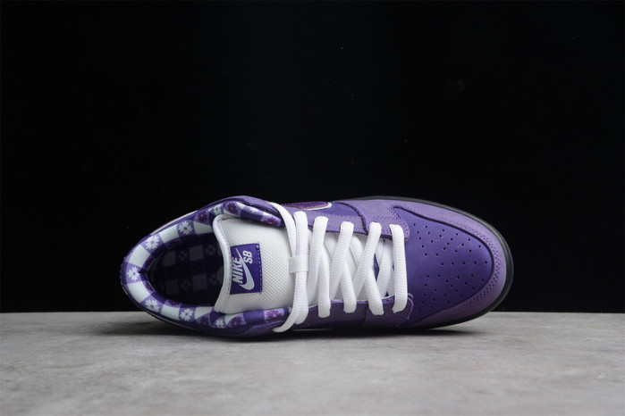 nike sb dunk low concepts purple lobster bv1310-555