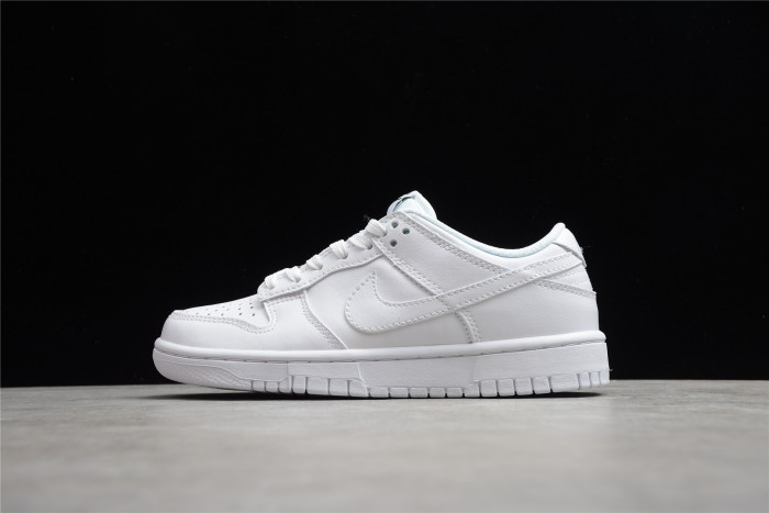 nike dunk low  (2021) (w) dd1503-109