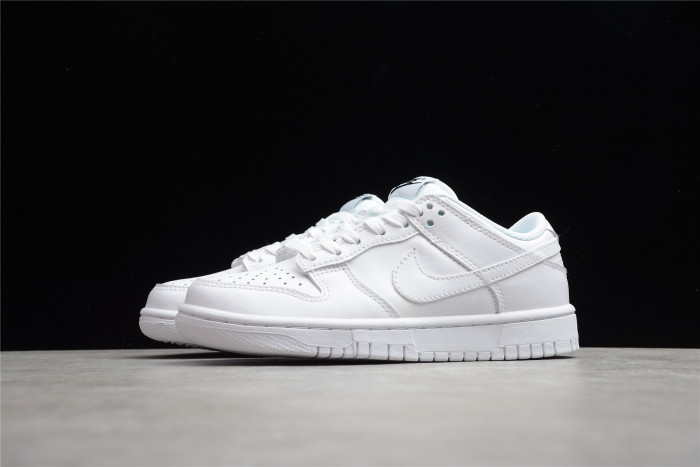 nike dunk low  (2021) (w) dd1503-109