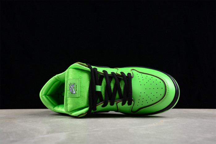 nike sb dunk low  fz8319--300