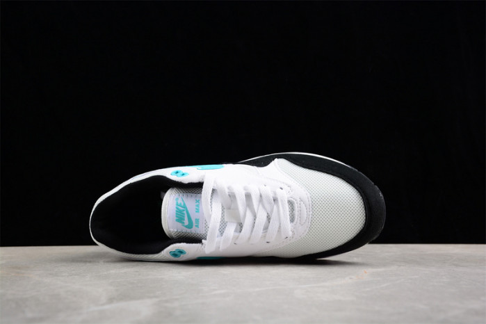 nike air max 1     dz3307-114