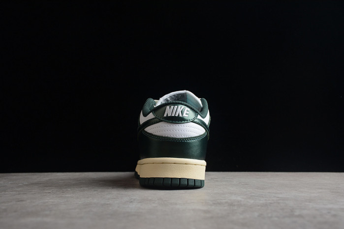 nike dunk sb low pro dq8580-100
