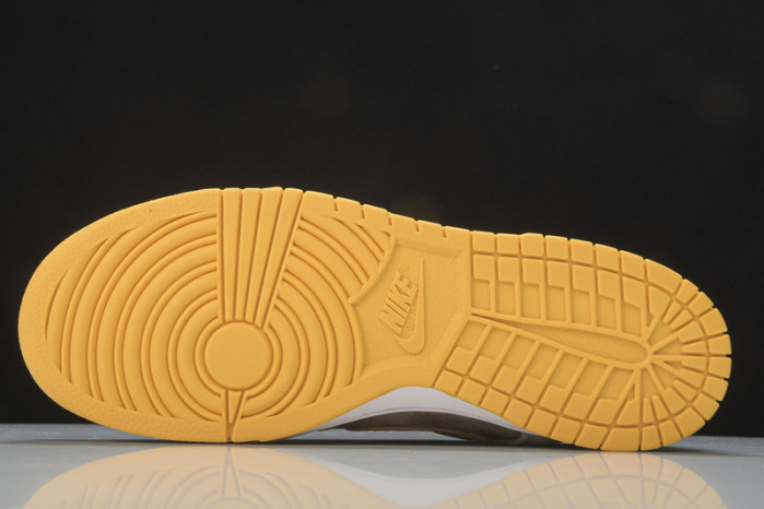 nk sb dunk low prm  dh5360-300