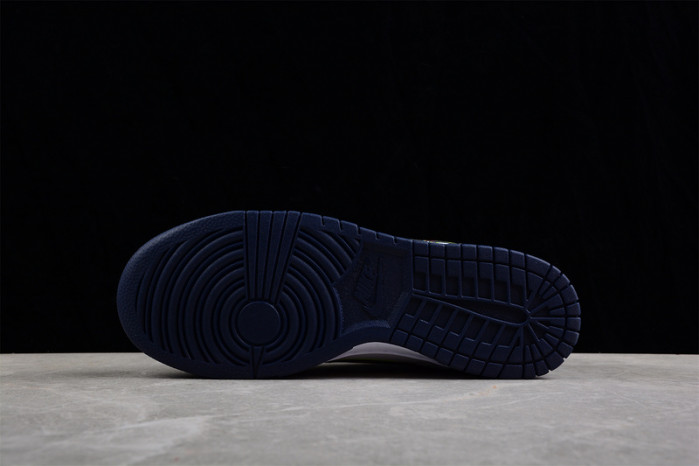 nike sb dunk low  dv6482-100