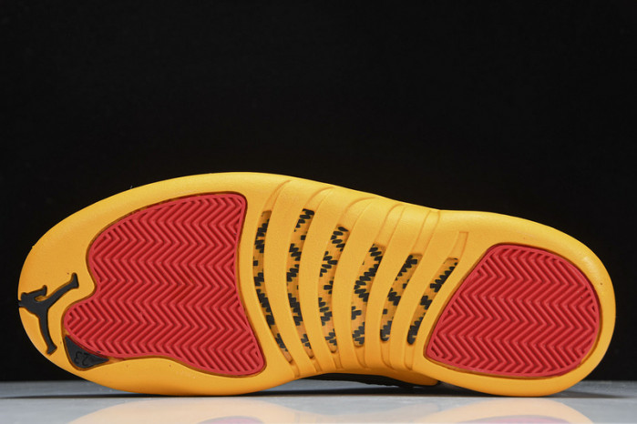 air jordan 12  dr8887-100